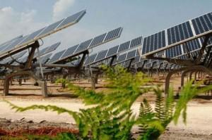 Médoc : installation d’une ferme solaire à Naujac