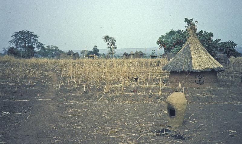 Réforme foncière au Bénin : pourquoi l'échec ?