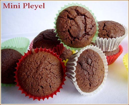 Le Pleyel min_pleyel