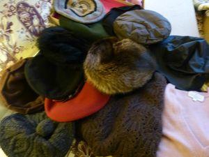 Grand échenillage d'hiver rangement 001