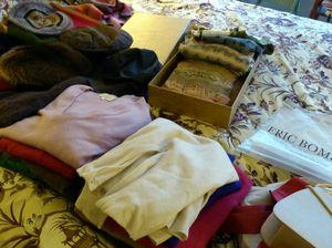 Grand échenillage d'hiver rangement 002