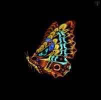 L'art digital par Cecelia Weber L'art digital par Cecelia Weber