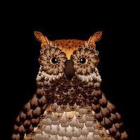 L'art digital par Cecelia Weber L'art digital par Cecelia Weber