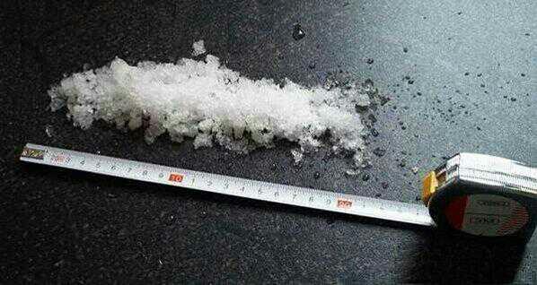 Des singes en hiver photo centi_zpsa60250fe.jpg