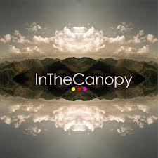 La canopée rend visite à la Matinale index