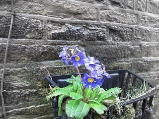 Au-revoir, Brontë Country Au-revoir, Brontë Country