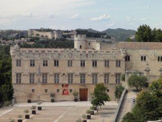 2011-06-Avignon-PetitPalais-04 2011-06-Avignon-PetitPalais-04