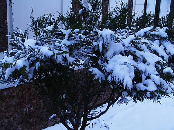 neige-2013-026.JPG