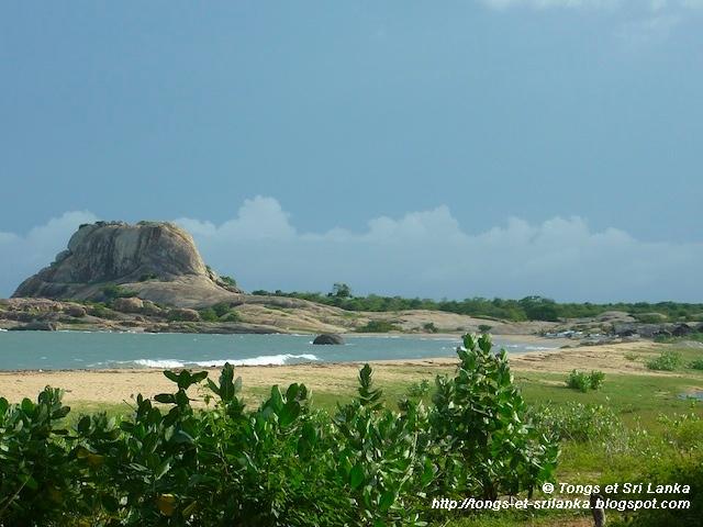 Le parc national de Yala #1 : La star du Sri Lanka !