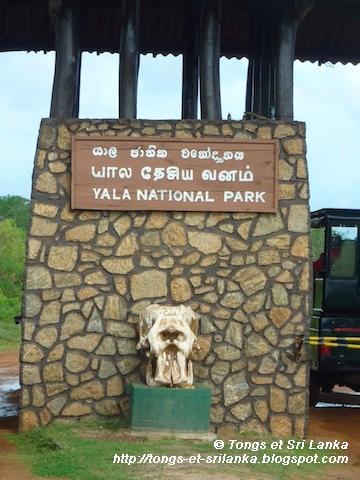 Le parc national de Yala #1 : La star du Sri Lanka !