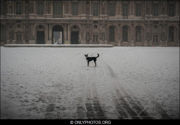 neige-paris-2013-0013