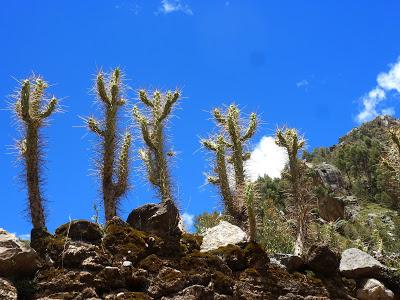 Petit crochet improvisé à la montagne (2) : Huancavelica