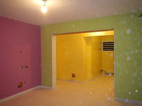 Voir la vie en couleurs en Guadeloupe DSCN5255.JPG