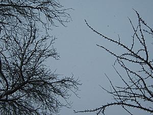 Il neige sur Just-We- Mllez neige 0018