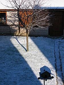 Il neige sur Just-We- Mllez IMG_0311.jpg