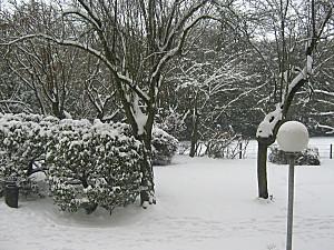 Il neige sur Just-We- Mllez neige 0002