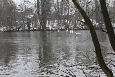 Dans la neige... Dans la neige...