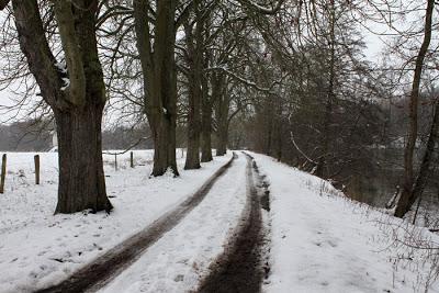 Dans la neige... Dans la neige...