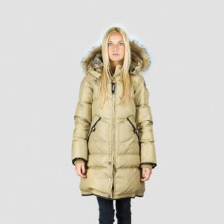 Il fait froid Il fait froid