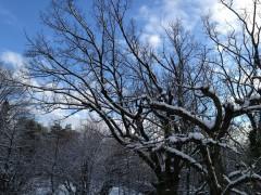 La citation du jour 19.jpg