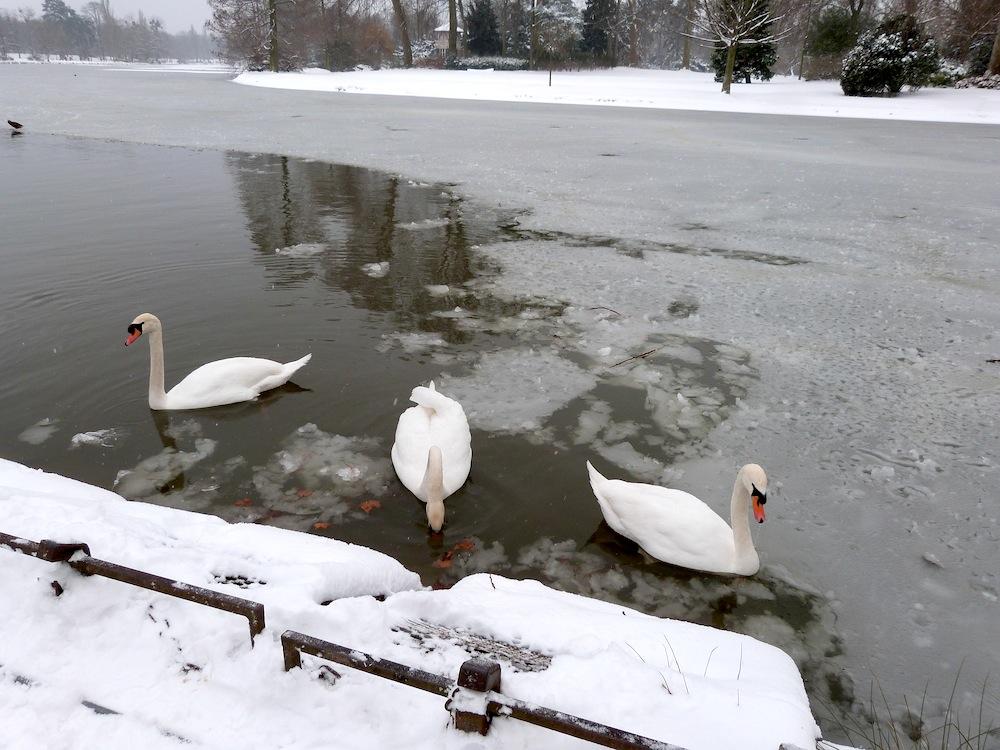 Un petit tour à la montagne ! P1020475