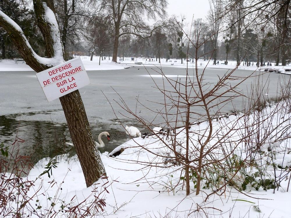 Un petit tour à la montagne ! P1020480