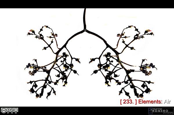 Photopassion - Miguel Angel ROMERO RAMIREZ -233 Interview Photographe – Miguel Angel ROMERO RAMIREZ