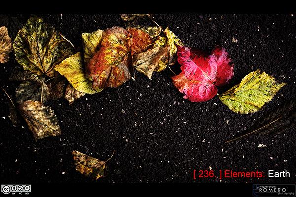 Photopassion - Miguel Angel ROMERO RAMIREZ -236 Interview Photographe – Miguel Angel ROMERO RAMIREZ