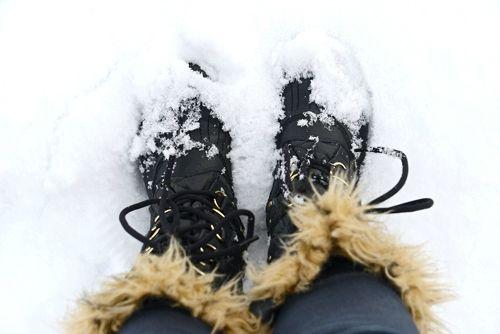 Guimauve, blanc sur blanc… VSZ_0857