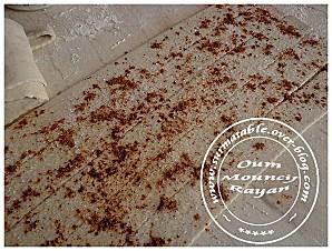 Roses Feuilletée aux Pommes 004-copie-1.JPG