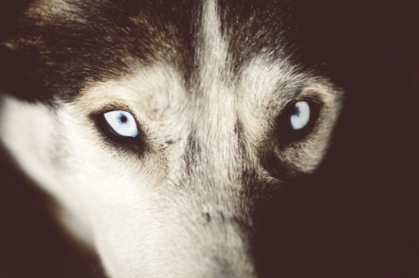 Quechua – Hiking on the Moon : la nature nous inspire 4