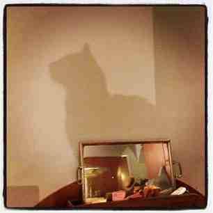 L’espion qui m’aimait d8816950659311e285f622000a1f8e95_6