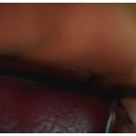 De nouvelles images pour Pikmin 3 sur Wii U ! De nouvelles images pour Pikmin 3 sur Wii U !