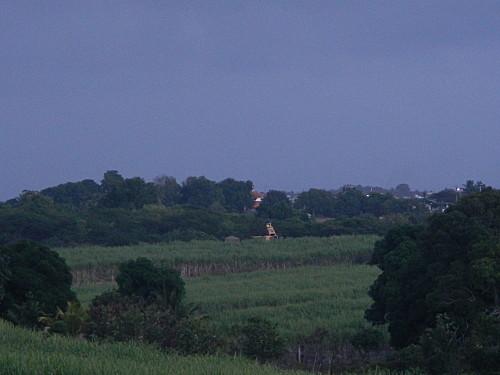 départ pour la coupe de canne à sucre en Guadeloupe 2013 DSCN5282