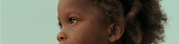 Top 10 de mon année cinématographique 2012 ! betes sauvages.png