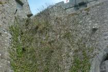 On the Irish road : Galway et la région du Burren (3/4) Kinvarra