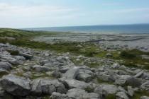 On the Irish road : Galway et la région du Burren (3/4) Dans le Burren