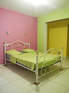 val et Titi ont une chambre en Guadeloupe DSCN5329.JPG