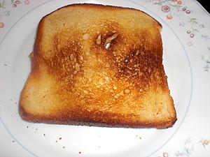 TOASTS AUX CHAMPIGNONS CIMG9055.JPG