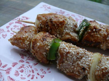 Brochettes de poulet au sésame pour la ronde inter-blogs P1090717-2