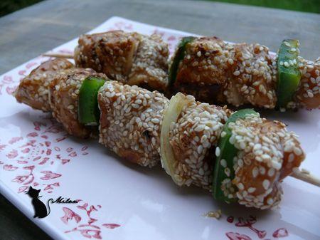 Brochettes de poulet au sésame pour la ronde inter-blogs P1090713-2