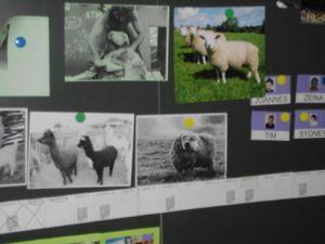 Prestation en maternelle IMG_2256