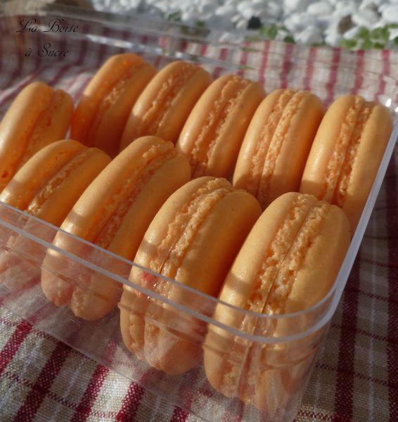 Macarons Passion Macarons passion 3