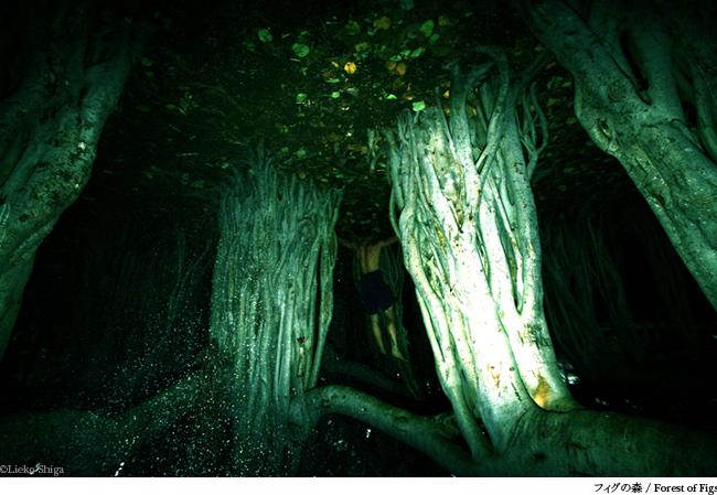 LIEKO SHIGA, JEU DE LUMIÈRES 22