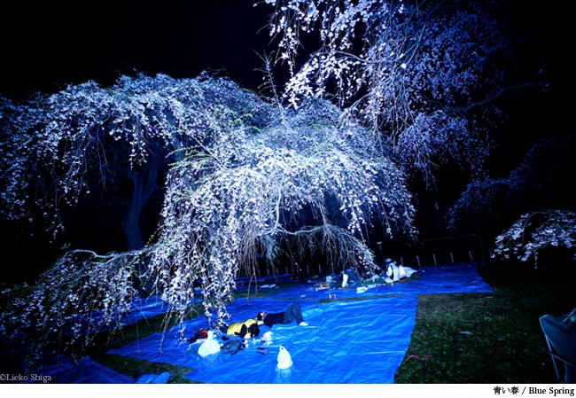 LIEKO SHIGA, JEU DE LUMIÈRES 27