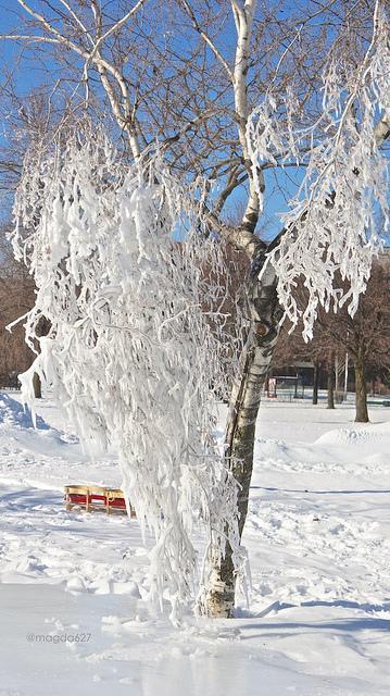 Déambulations sibériennes anteketborka.blogspot.com, hiver13_2