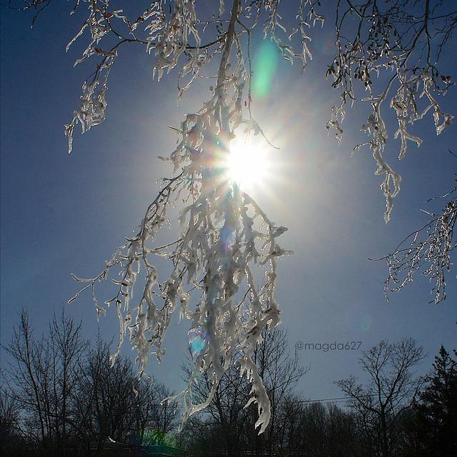 Déambulations sibériennes anteketborka.blogspot.com, hiver13_3