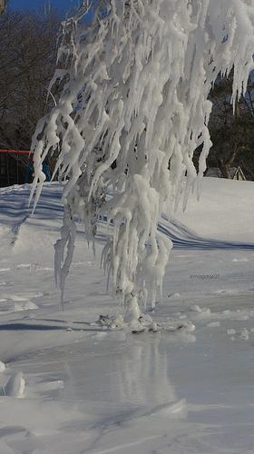 Déambulations sibériennes anteketborka.blogspot.com, hiver13_99