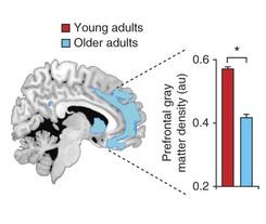 Les TROUBLES du SOMMEIL liés à la perte de mémoire chez les personnes âgées  – Nature Neuroscience