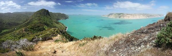 Waitakere Ranges, la côte sauvage dAuckland nouvelle zelande ile nord a la une 